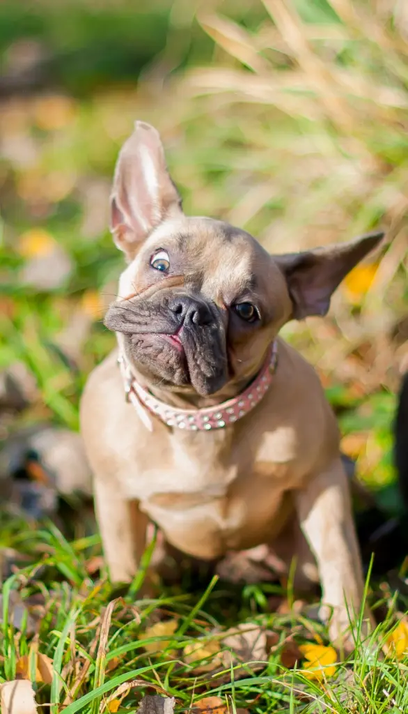 Auch lustig konntest du sehr gut.