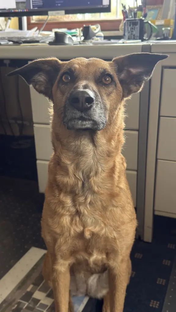 Condolence image of Marc