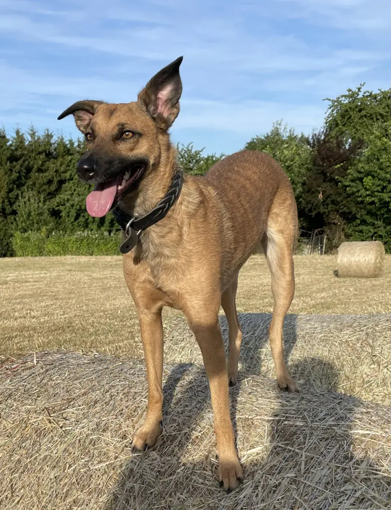 Condolence image of Marc