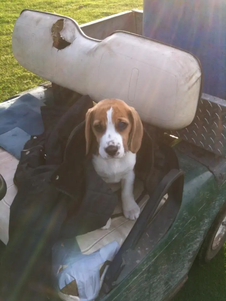 Baby Charlie