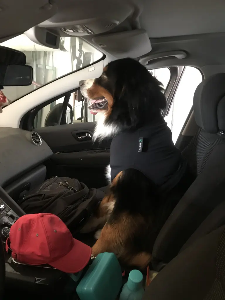 Geht’s jetzt endlich los?