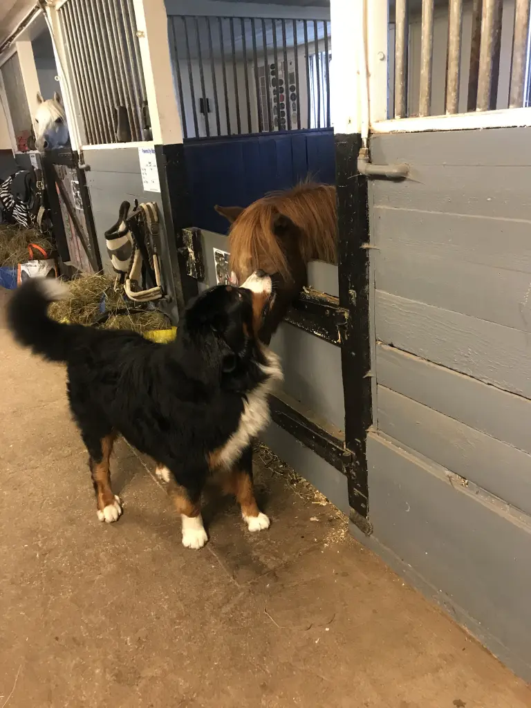 Wir gehen auf Tuchfühlung