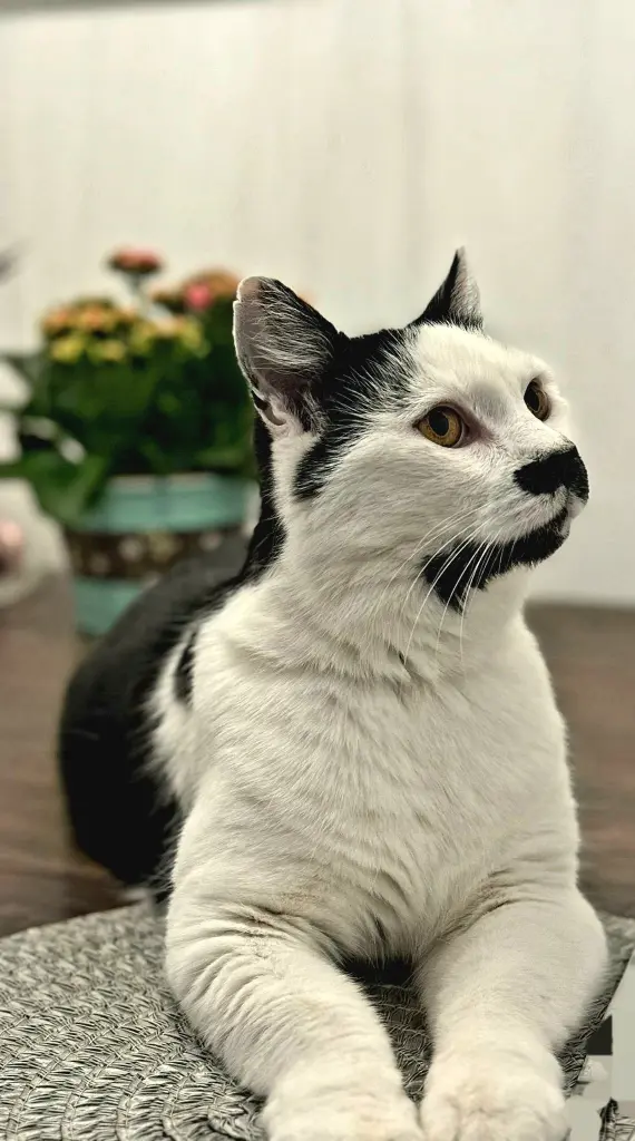 Condolence image of Jeannette