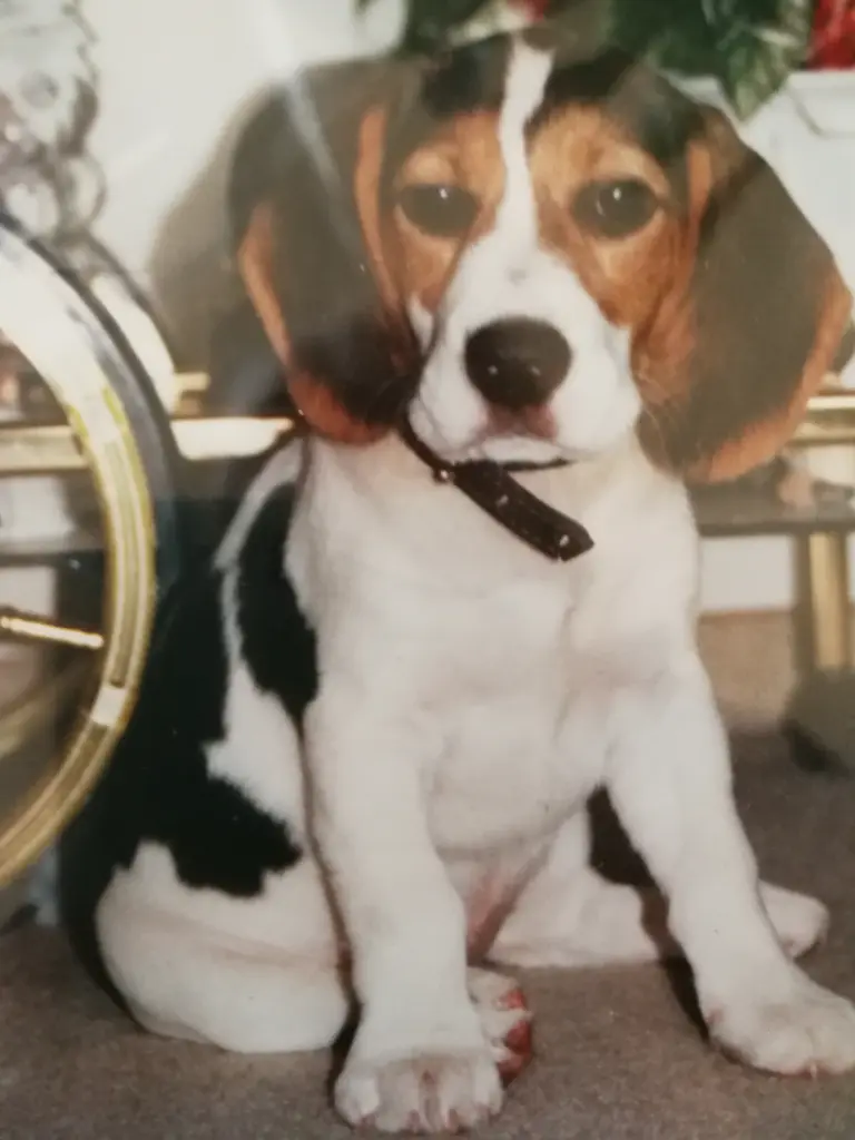 Condolence image of Sandra
