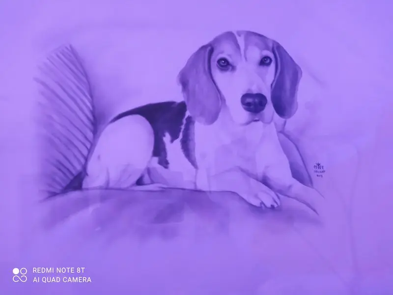 Condolence image of Peggy