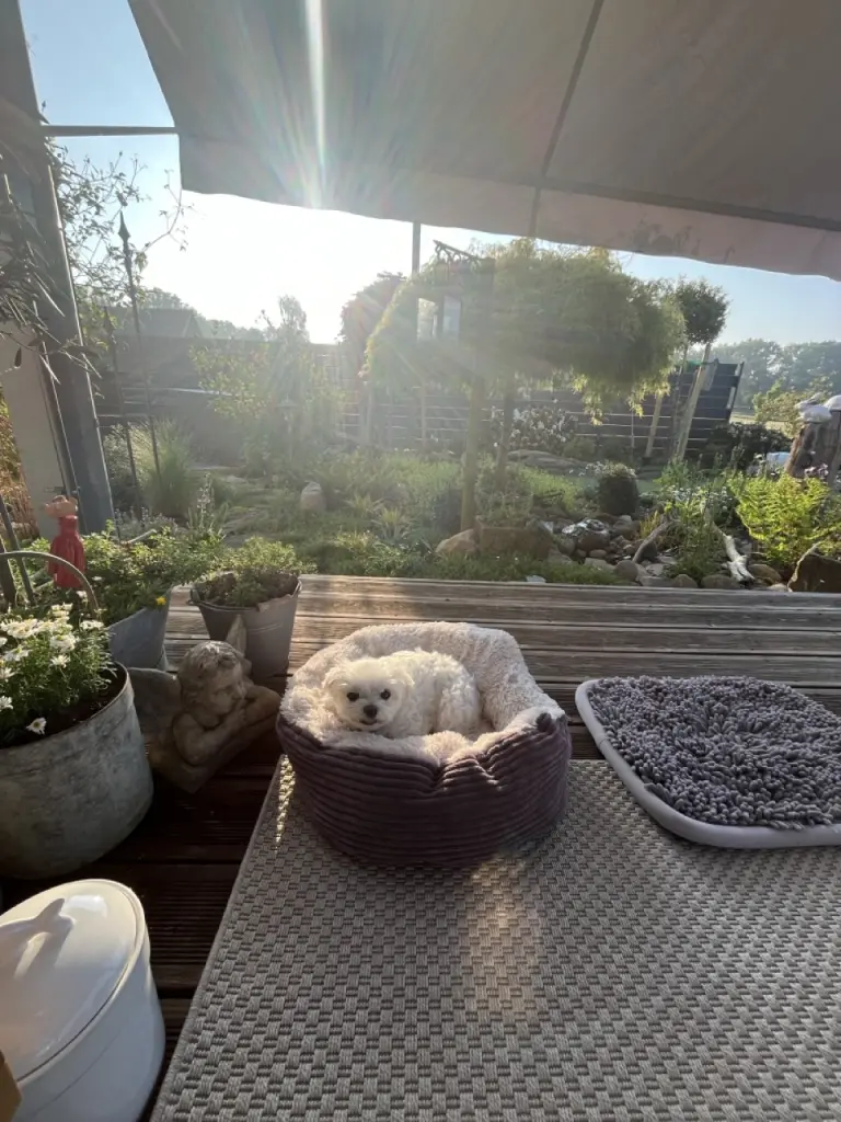 Im Sommer draußen die Zeit verbringen, dass war für sie immer ein Genuss