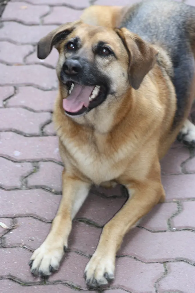 Condolence image of Heike Scheuba