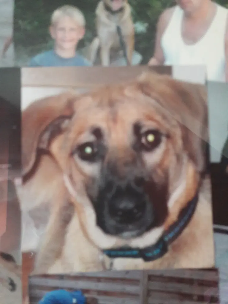 Condolence image of Heike