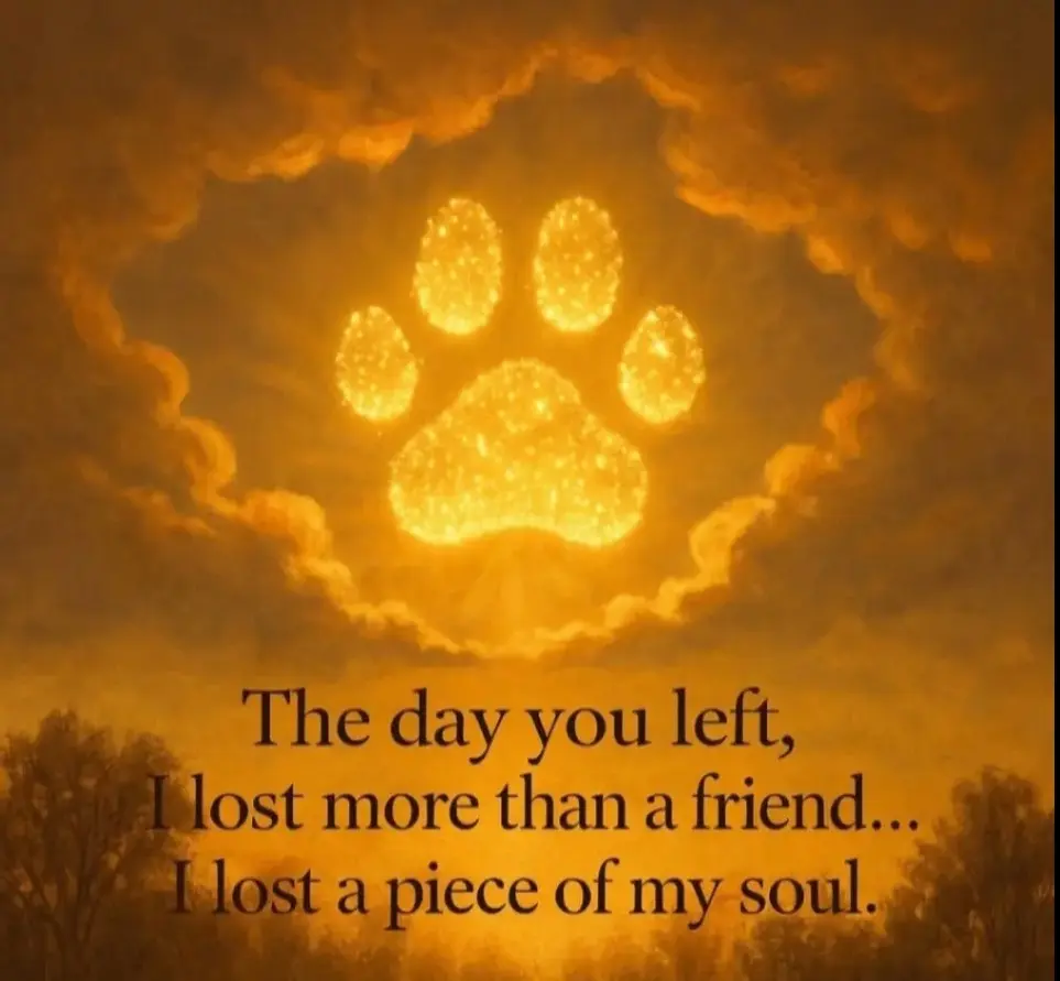 Condolence image of Erika Cremer