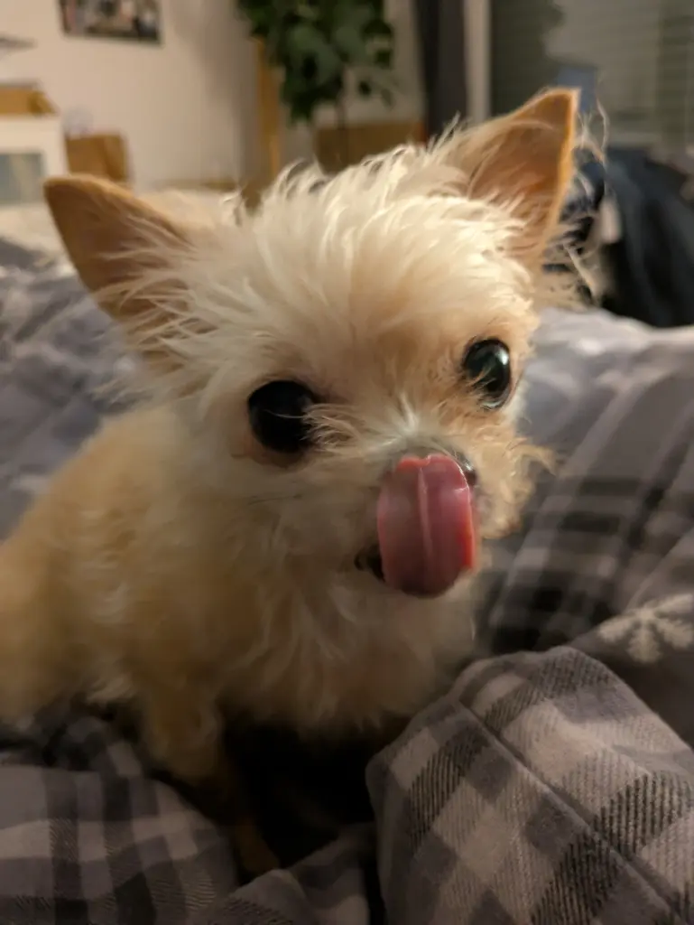 Wolltest jedem zeigen, das du ihn gern hättest. Knutschen war dein Ding