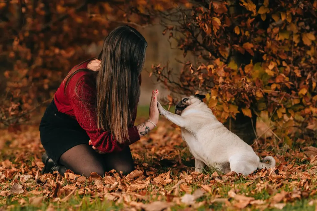 Condolence image of Anna mit Mila