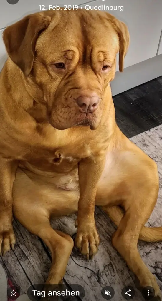 Ihr berühmte Sitzstellung