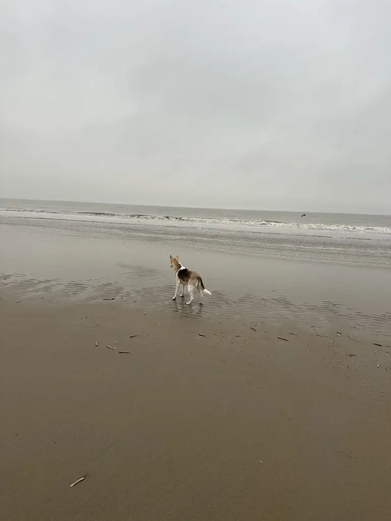 Andachtsbild von Mareen