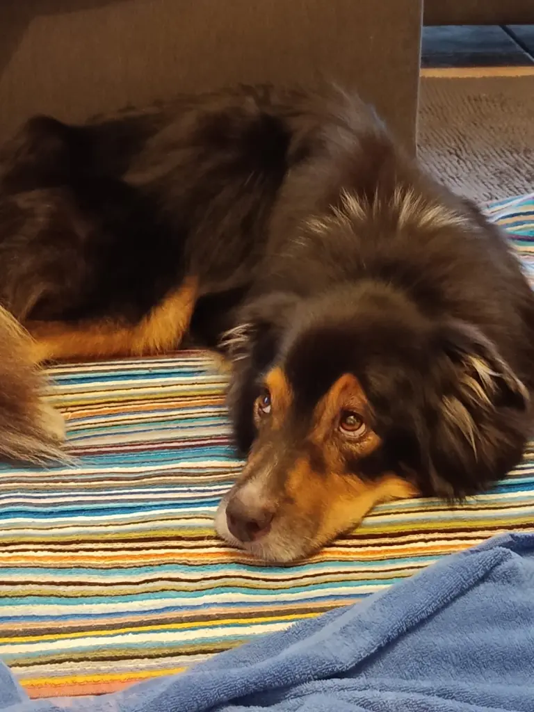 Andachtsbild von Karoline Brückner