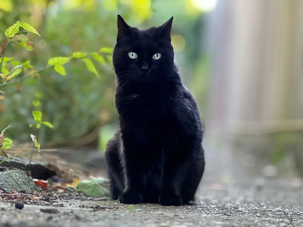 Andachtsbild von Juliane Fröschen