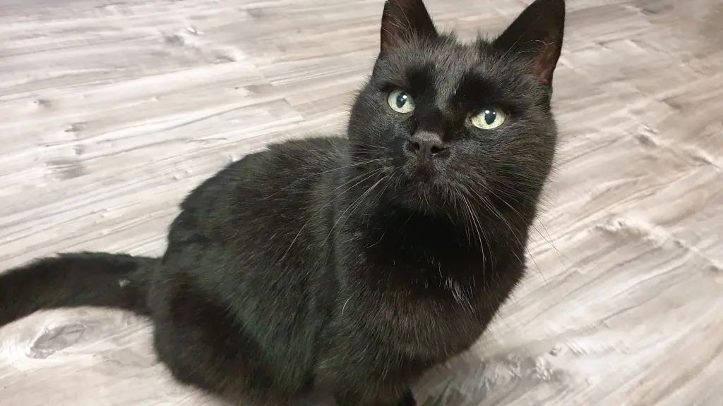 Andachtsbild von Juliane Fröschen