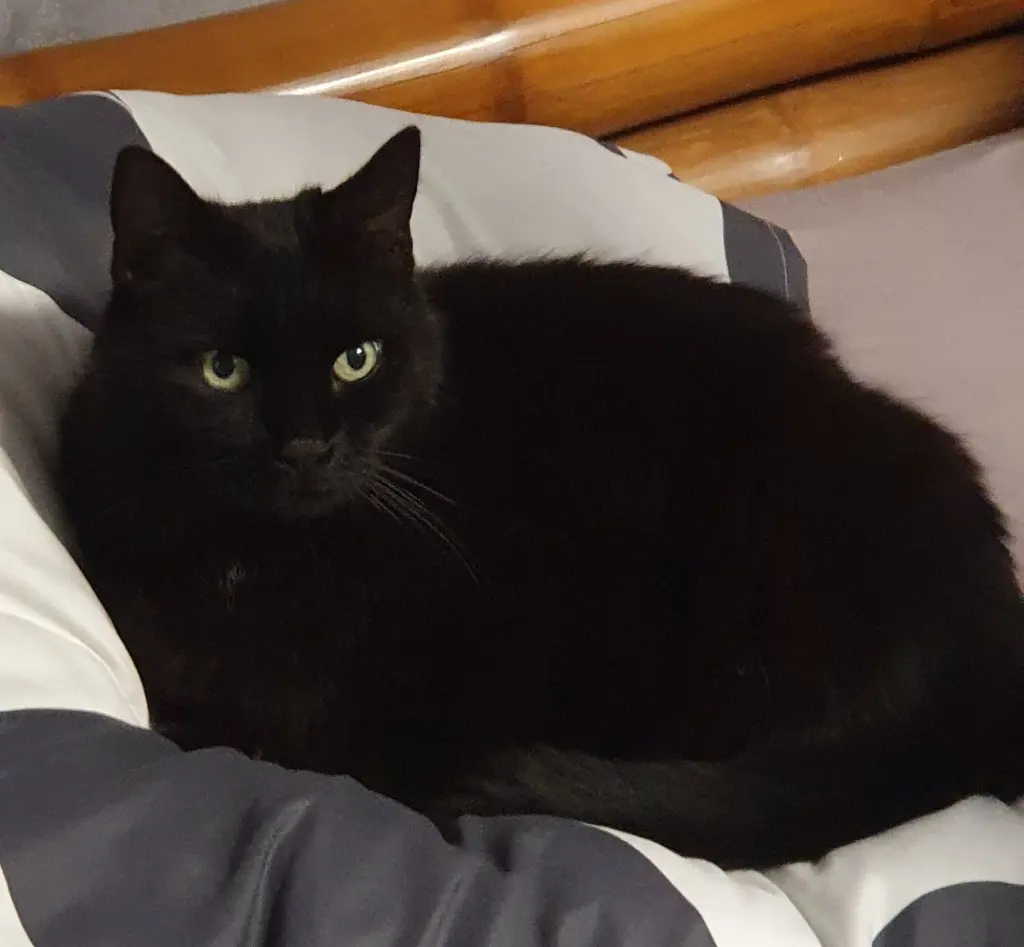 Andachtsbild von Juliane Fröschen