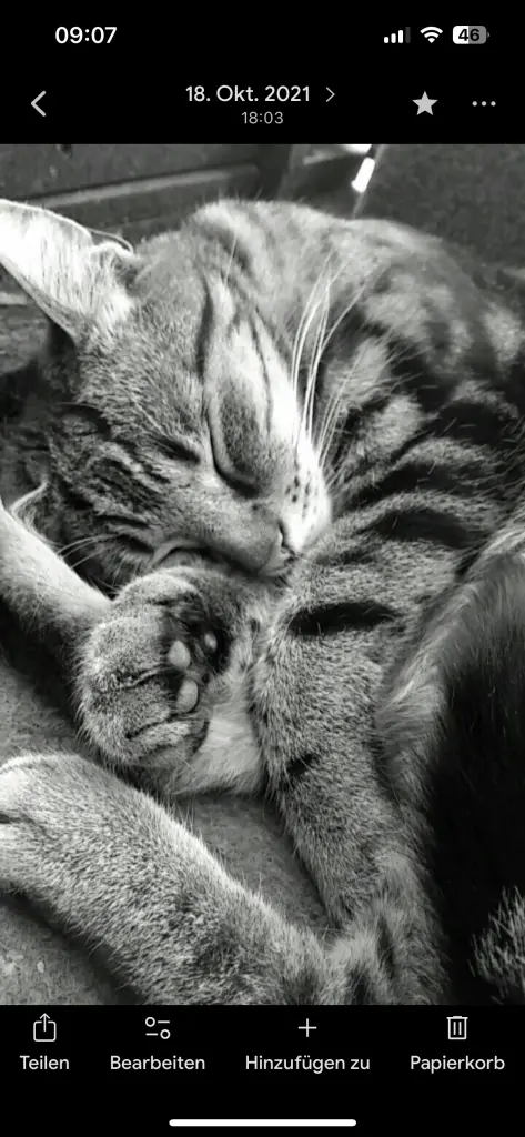 Unsere Kuschelmaus❤️