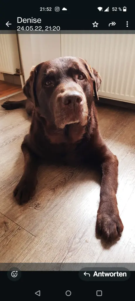 Andachtsbild von Ben