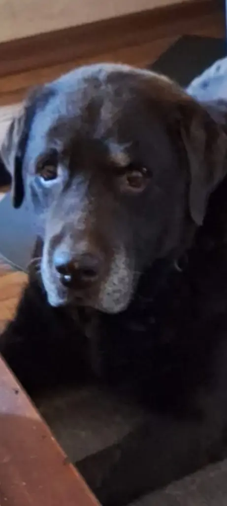 Andachtsbild von Heike