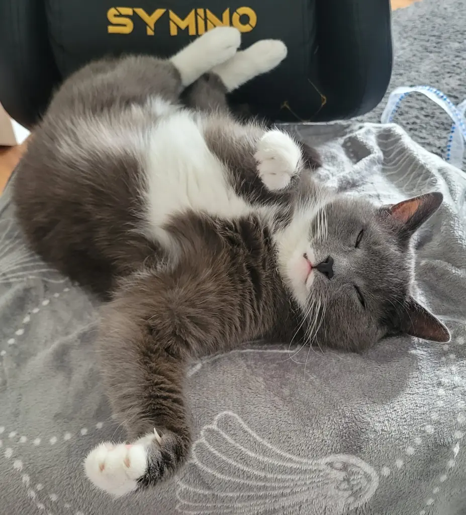 Condolence image of Leila Dziallas