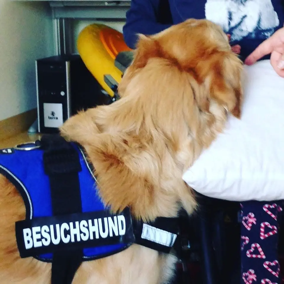 Im Einsatz in medizinischen und sozialen Einrichtungen