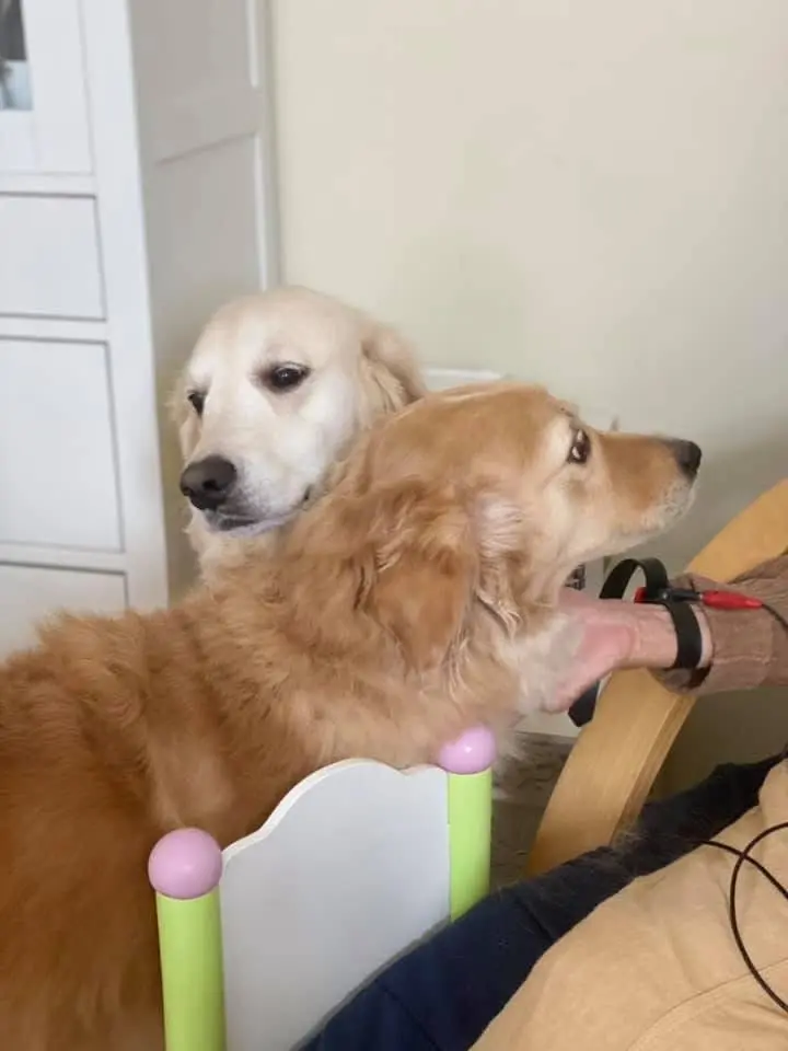 In der Therapiesitzung