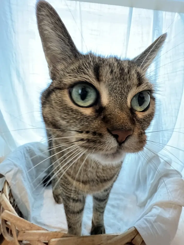 Image from Mr. Snuggles