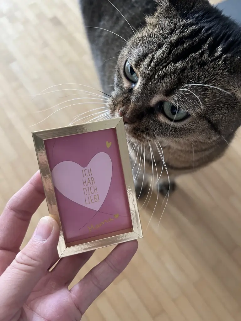 Image from Mr. Snuggles