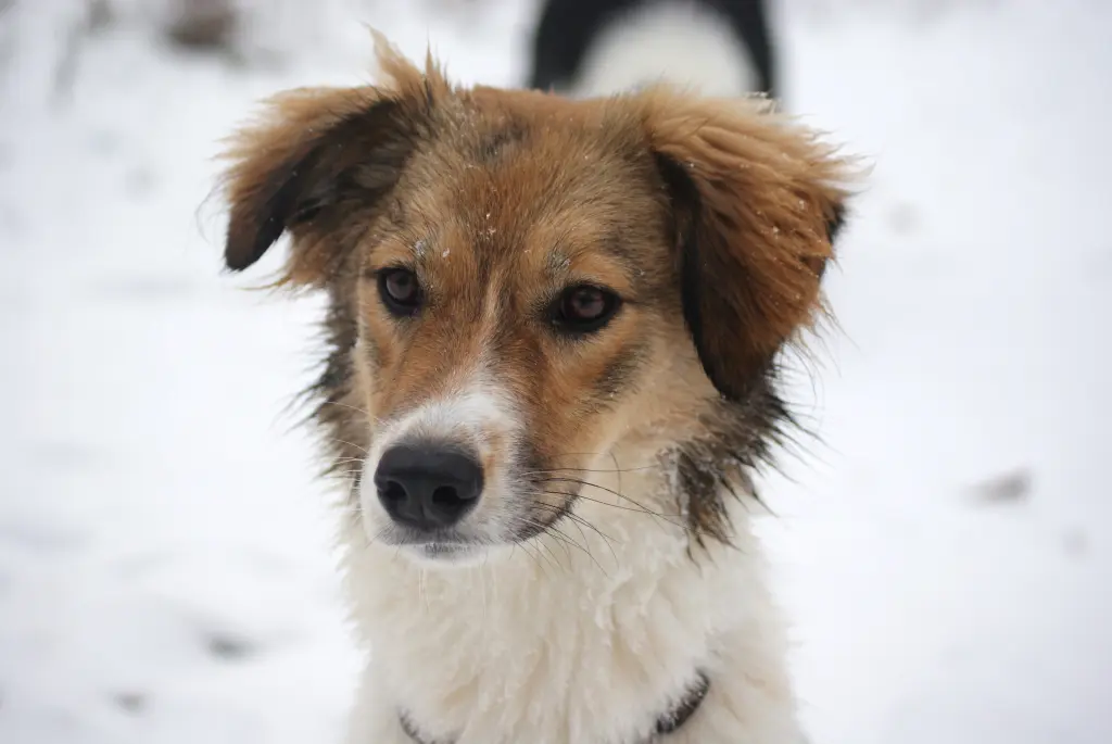 Condolence image of Ginette emit Aisha gest. 02.09.2025