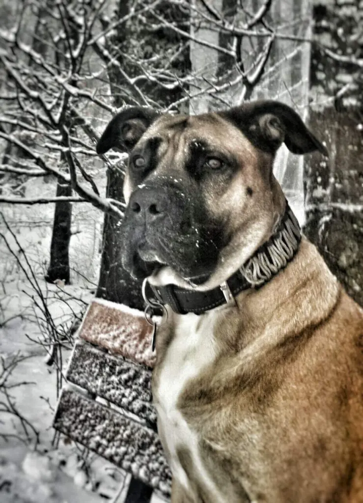 Image from Ayca
