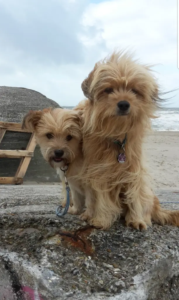 Gino & Emy