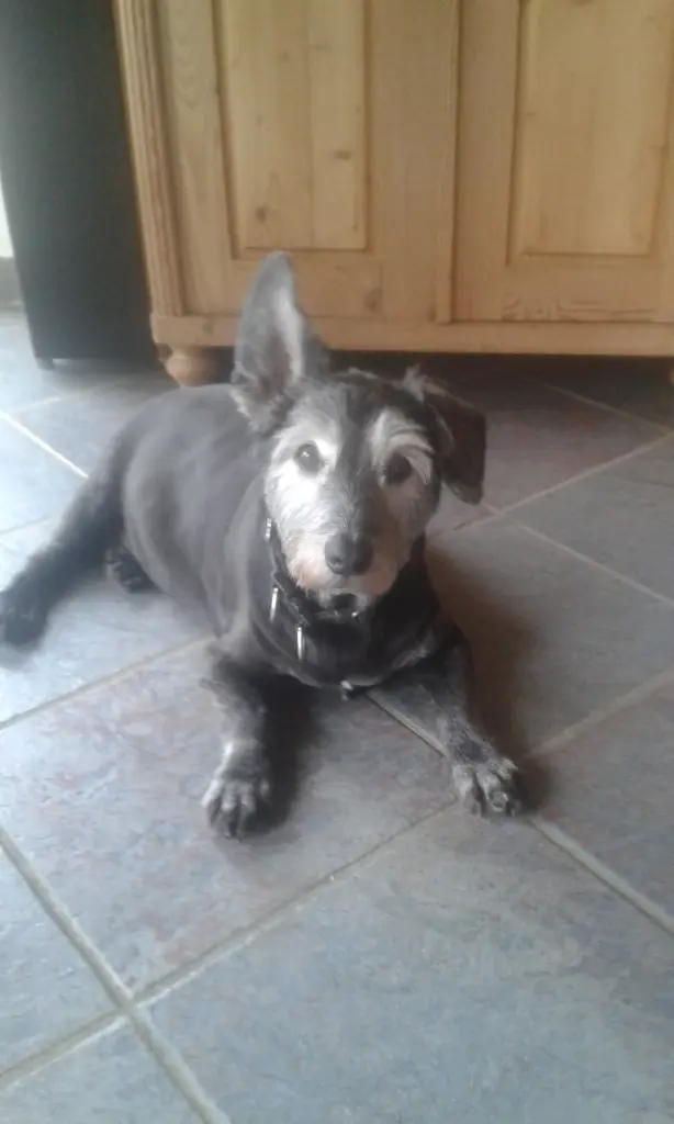 Condolence image of Marlies