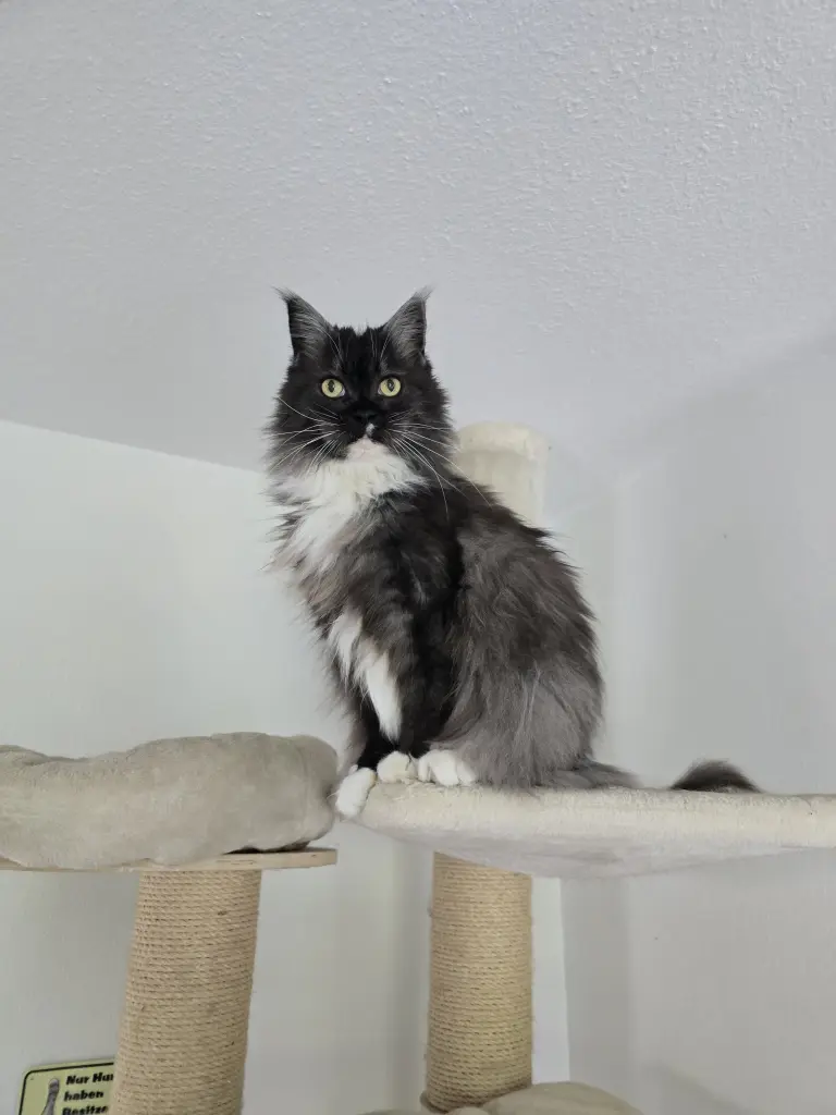 Dein geliebter PLatz am Baum