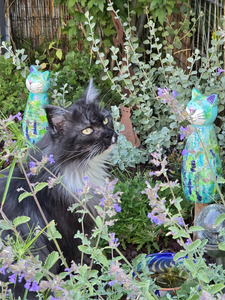 Dieser Platz bleibt dir und du bist in unserer Nähe