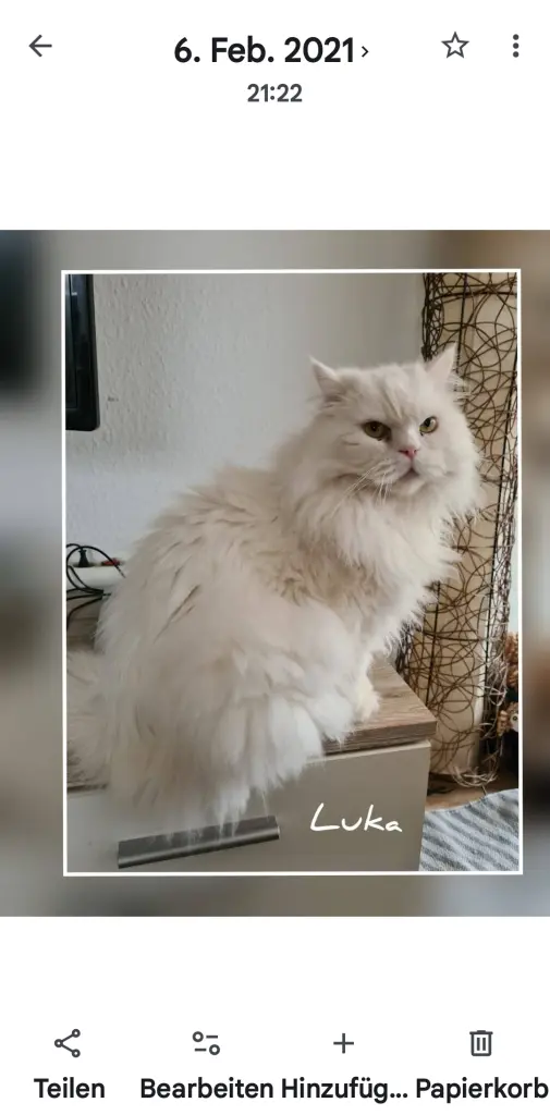 Luka