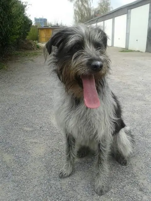 Bild von Lilly
