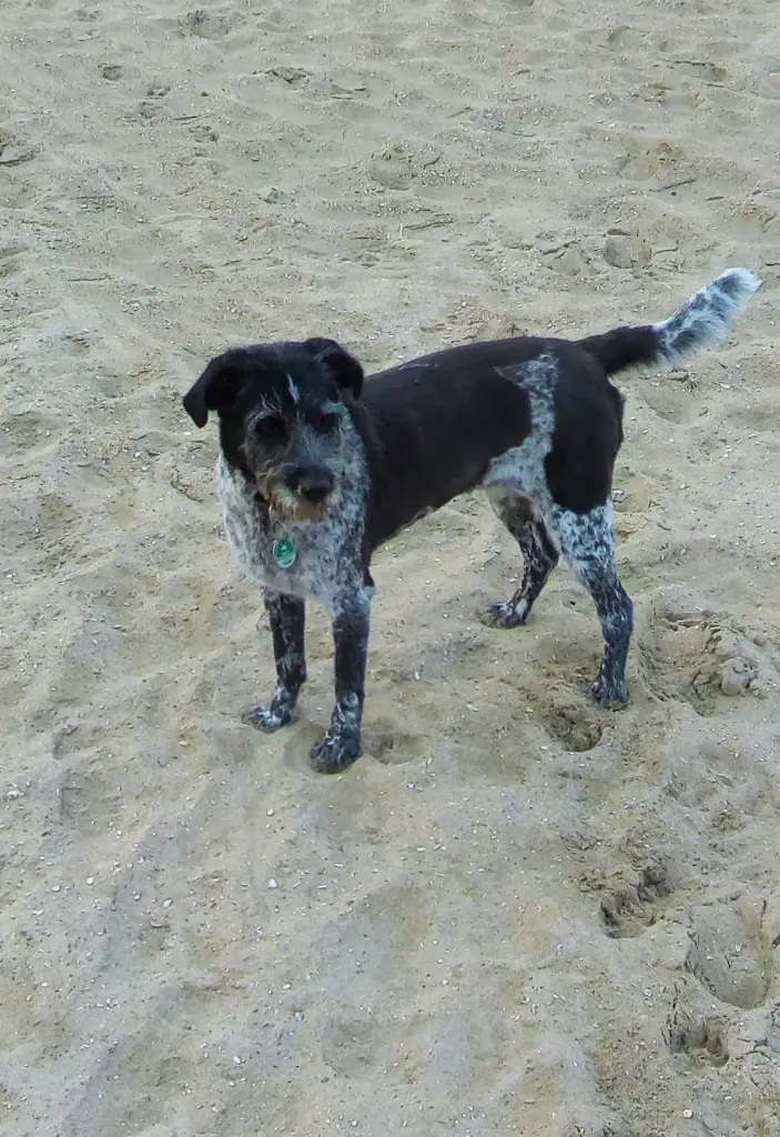 Bild von Lilly