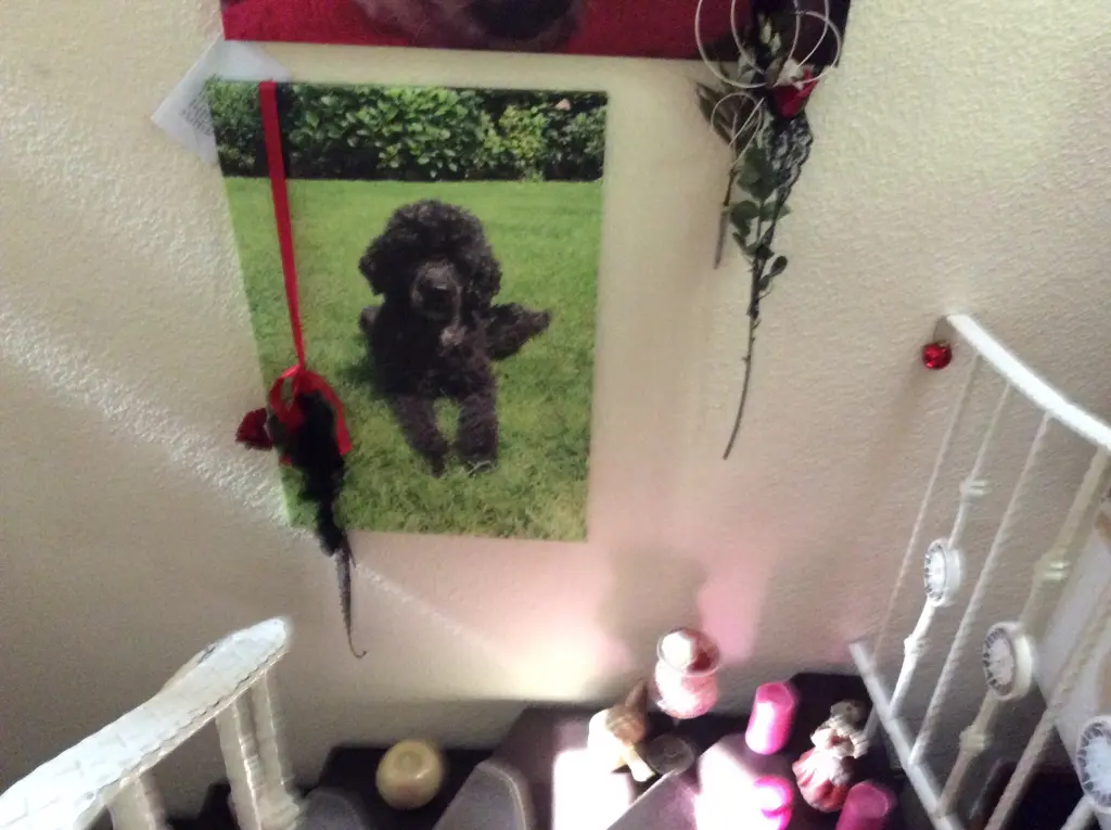 Condolence image of Heidelore mit Nele im Herzen 
