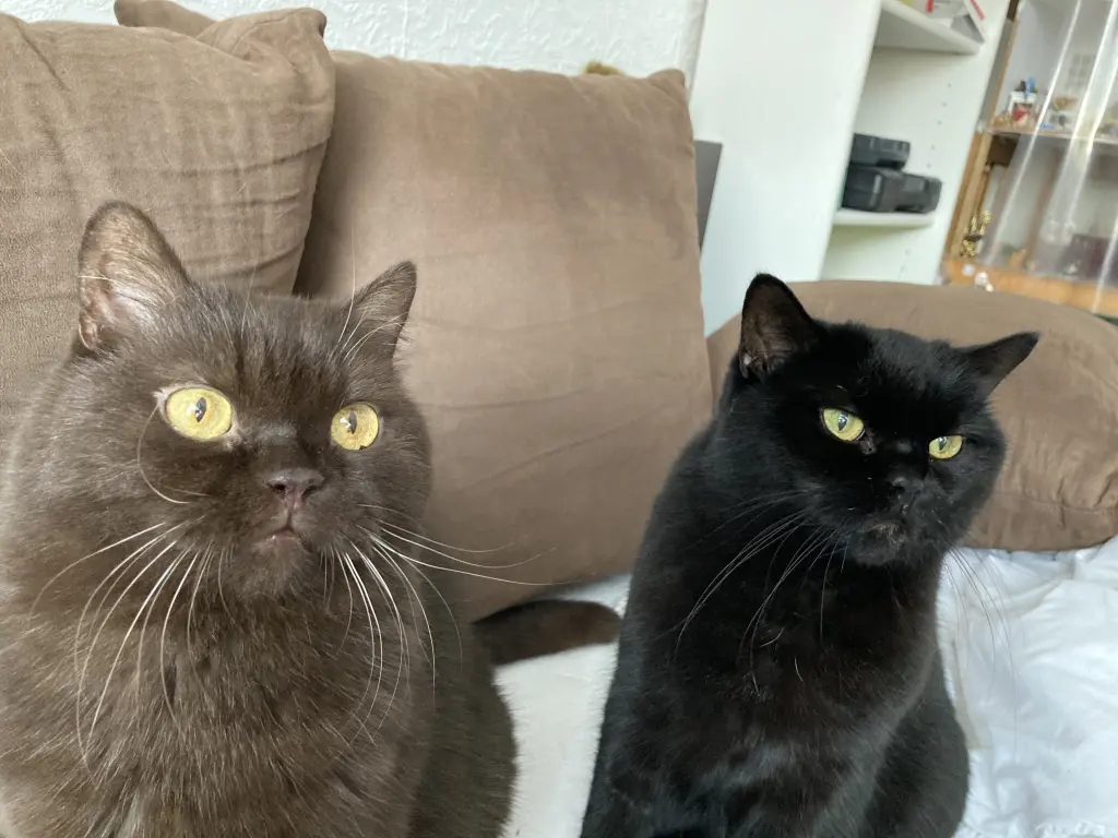 Ares mit seiner Freundin Niesel