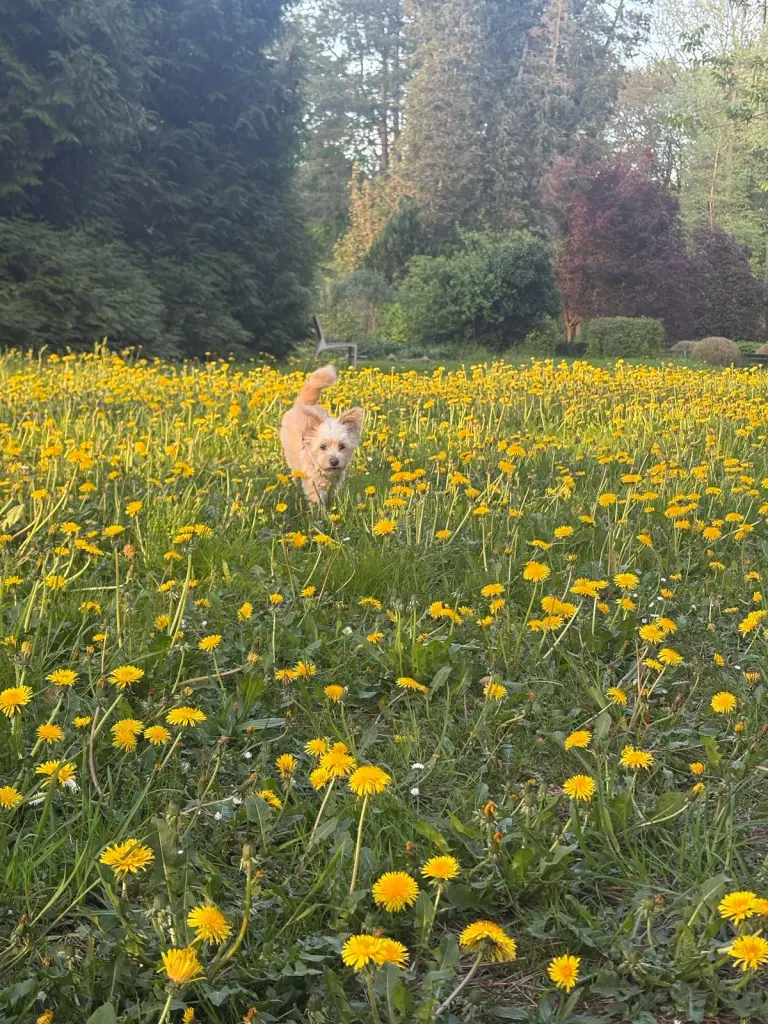 Andachtsbild von Addi /Uwe