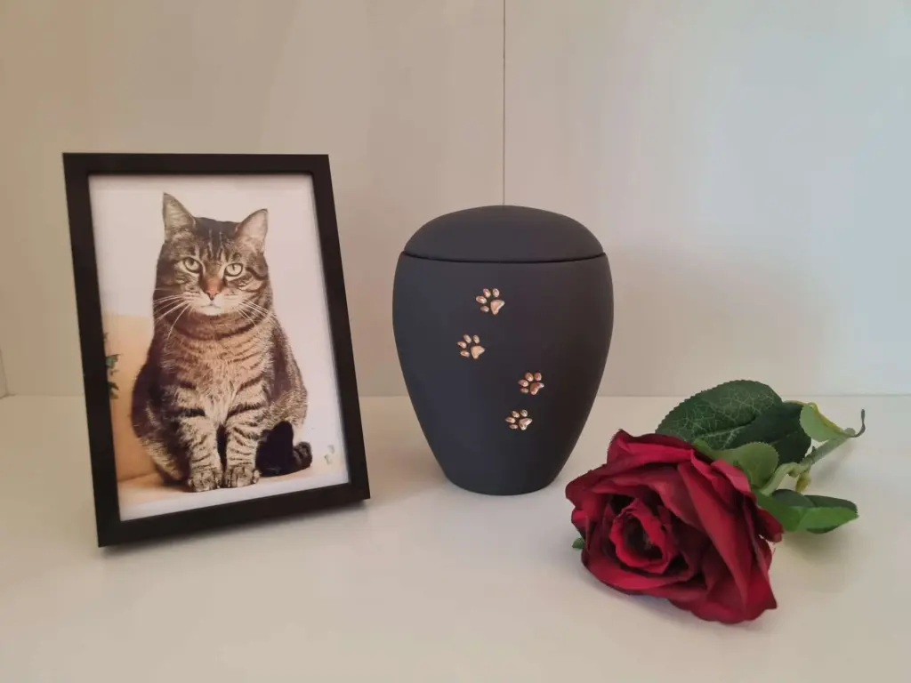 R.I.P. Kleine Wuchtbrumme