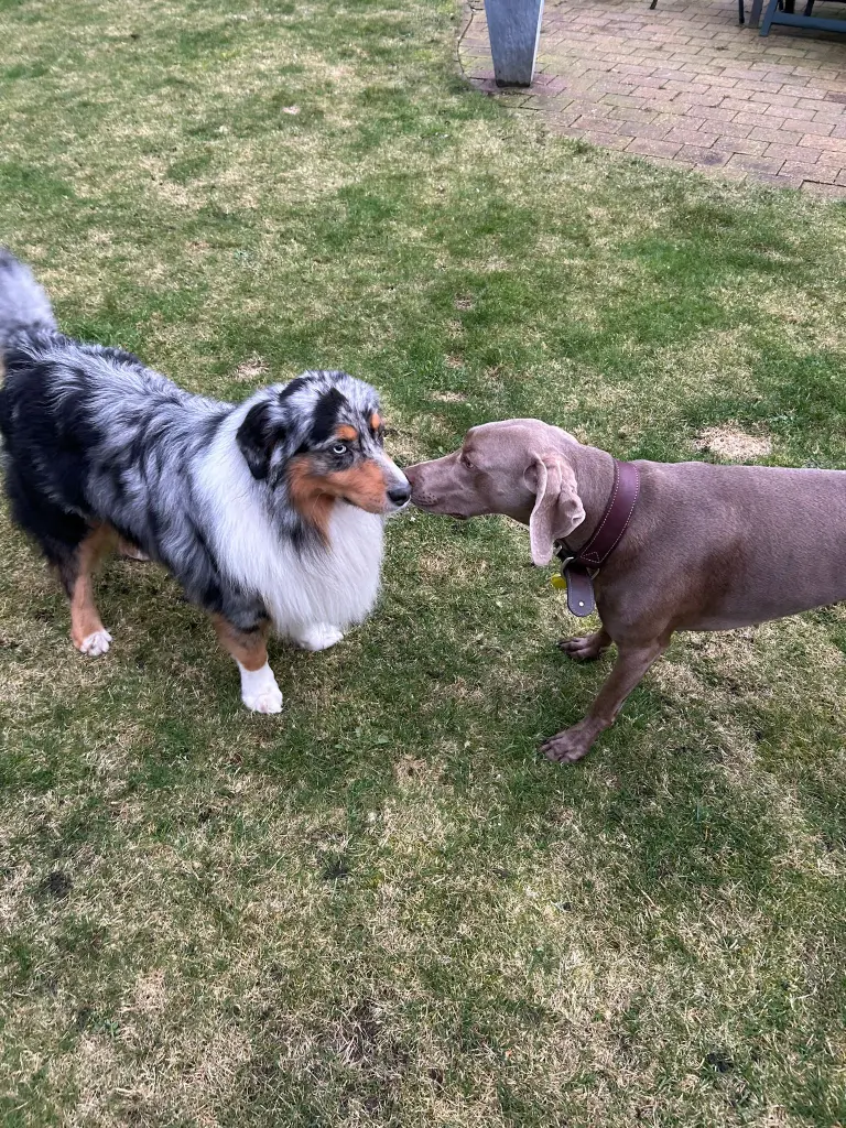 Andachtsbild von Sonja Windolph