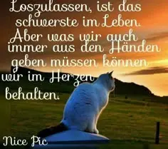 Condolence image of Konny mit Piccolino-Fly tief im ❤️