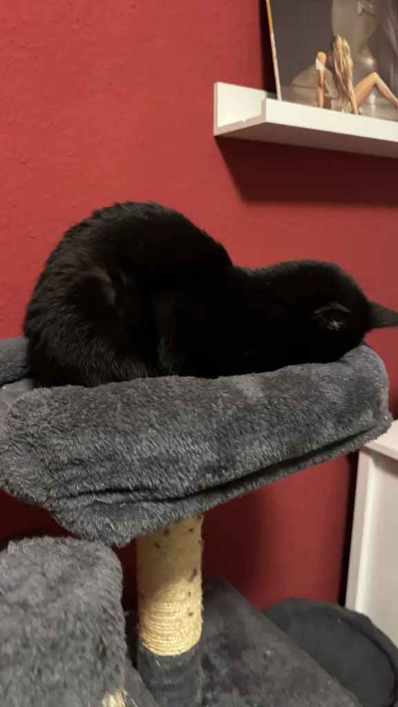 Condolence image of Paul