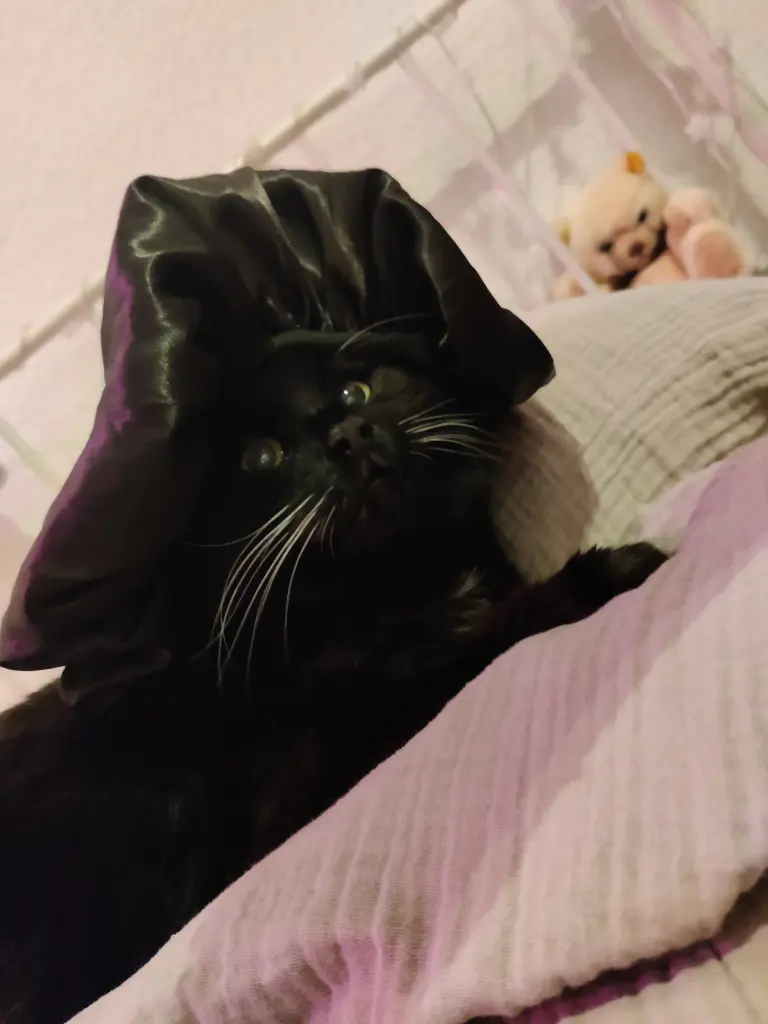 Und war so ein Kuschelbär