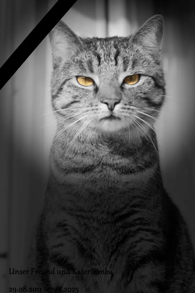 Image from Simba