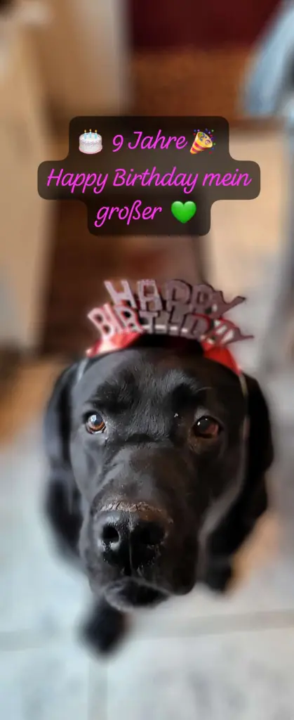 Happy 9. Geburtstag 🎈