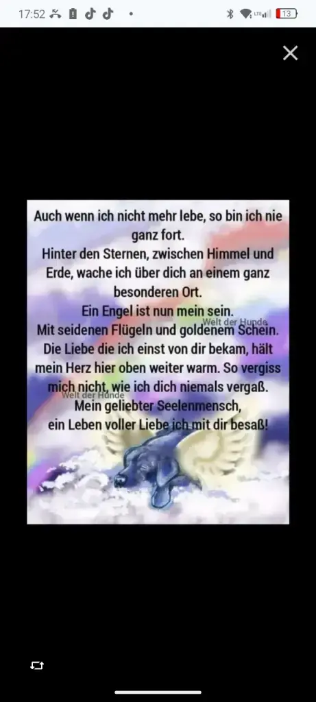 Condolence image of Konny mit Piccolino-Fly tief im ❤️