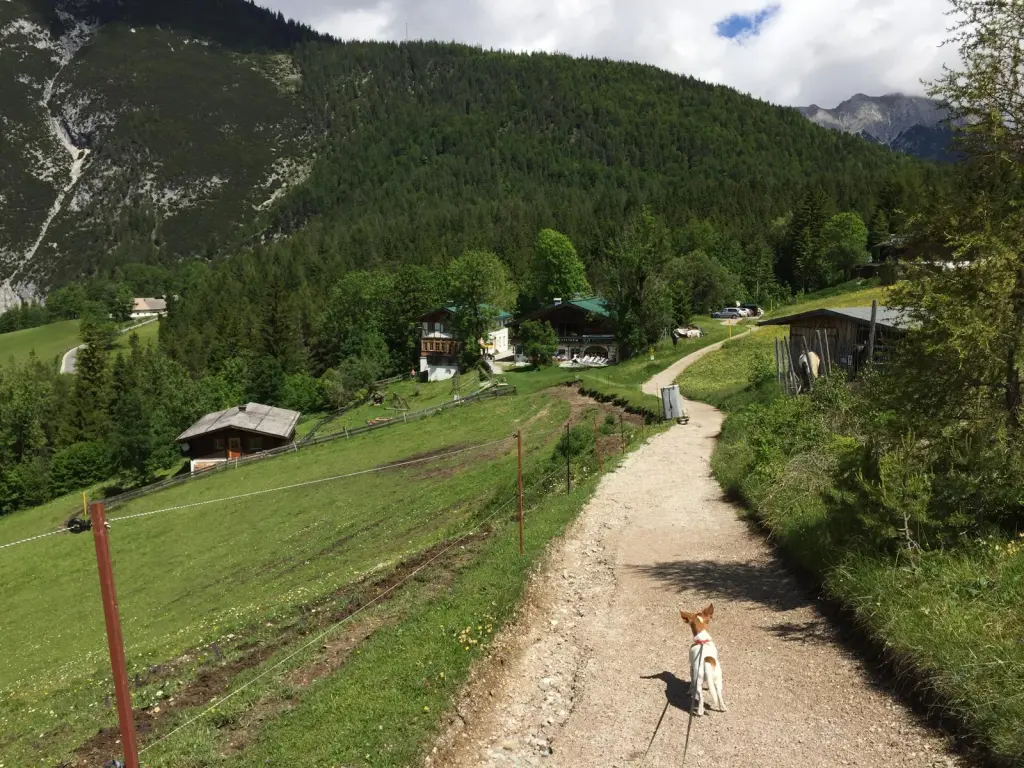 Auf dem Weg zur Regenbogenbrücke.